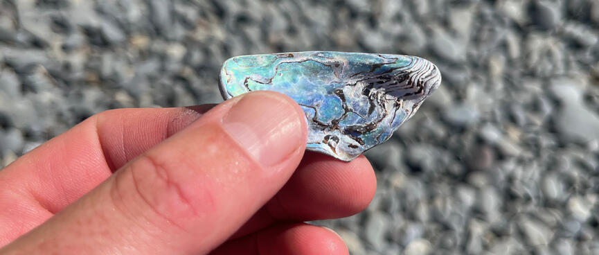 A triangular shard of Pāua shell with a wave-like pattern.