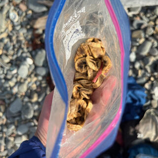 Looking down into a plastic bag of dried bananas.