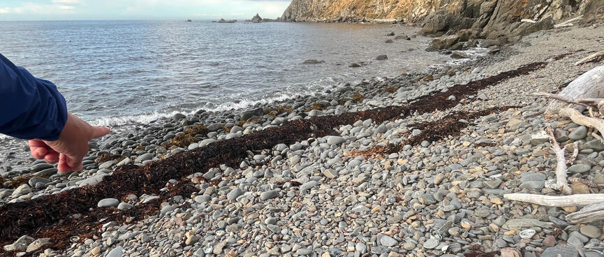 Pointing at the pebbly waterline where I exited the sea.