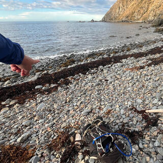 Pointing at the pebbly waterline where I exited the sea.