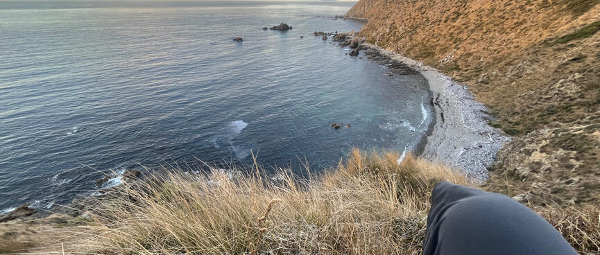 I sit on the tussock hillside, the beach and gravel sea stretch out below.