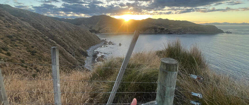 A finger points at a reinforced section of the fence. The coastline extends in the distance.