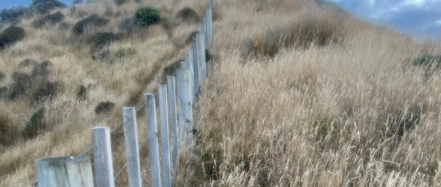 Looking up a steep fenceline running through field grass.