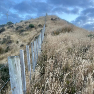Looking up a steep fenceline running through field grass.