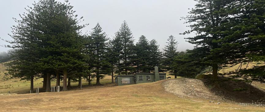 A long green concrete building and a small white shed in a stand of pine trees.