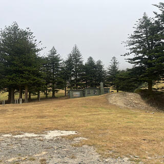 A long green concrete building and a small white shed in a stand of pine trees.