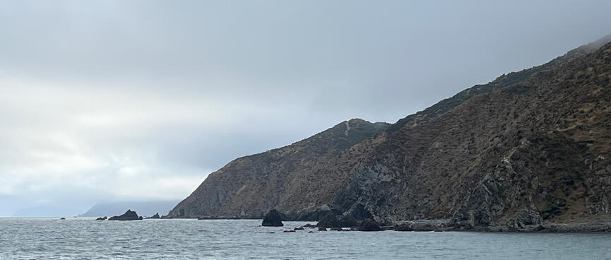 Looking back at the previous section of coastline, from the beach which is covered in driftwood.