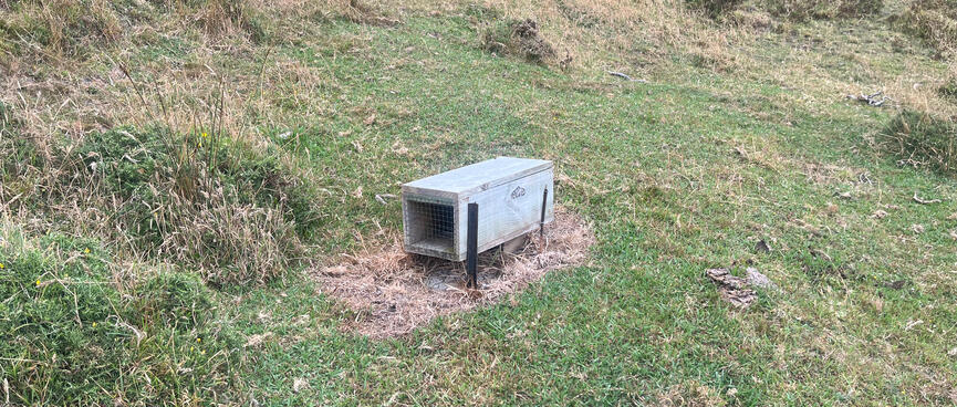 A rectangular wooden box with mesh covering the open ends.