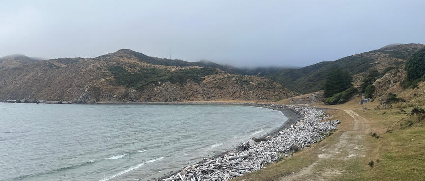 A driftwood-laden beach wraps around the sea.