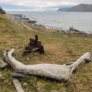 A curved piece of driftwood provides seating around a DIY stove.
