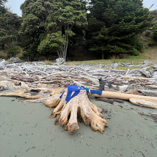 My clothing is draped over driftwood including a tree trunk which looks like a human foot.
