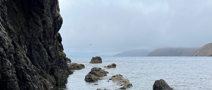 A rock face rises up from the sea.