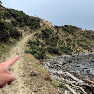 A dirt path runs from the coast to a hill.