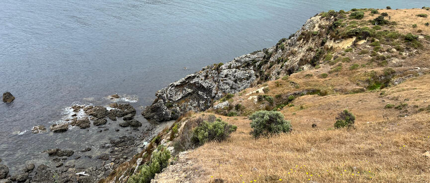 Looking down on the coast below.