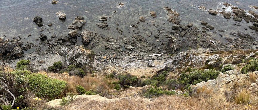 Looking down the steep hillside.