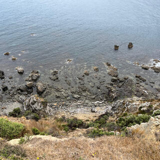 Looking down the steep hillside.