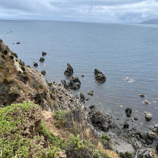 Looking down and across the steep hillside.