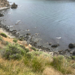 Green shrubs and grass on an otherwise barren hillside.