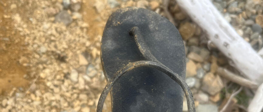 A dirty black jandal.