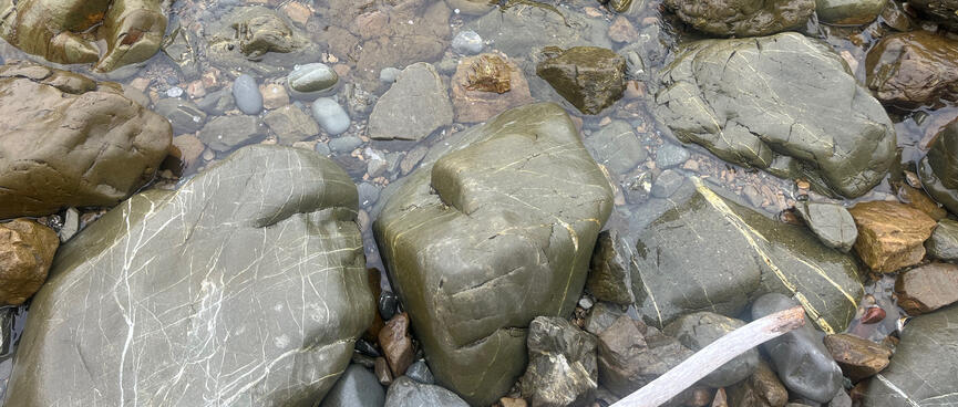 Slightly green rocks amongst grey rocks.
