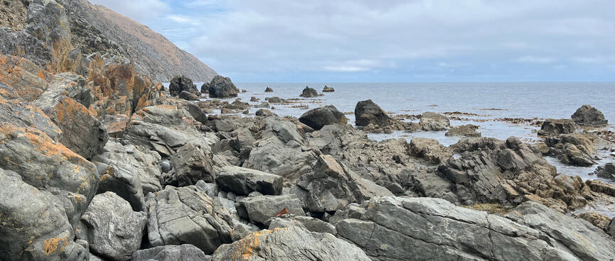 Grey rocks with orange tips.