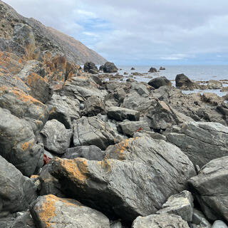 Grey rocks with orange tips.