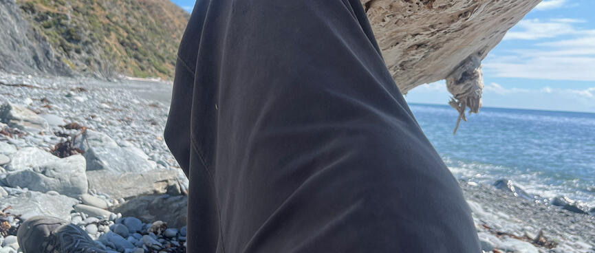 Legs in the shadow of a driftwood log.