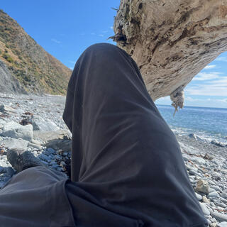 Legs in the shadow of a driftwood log.
