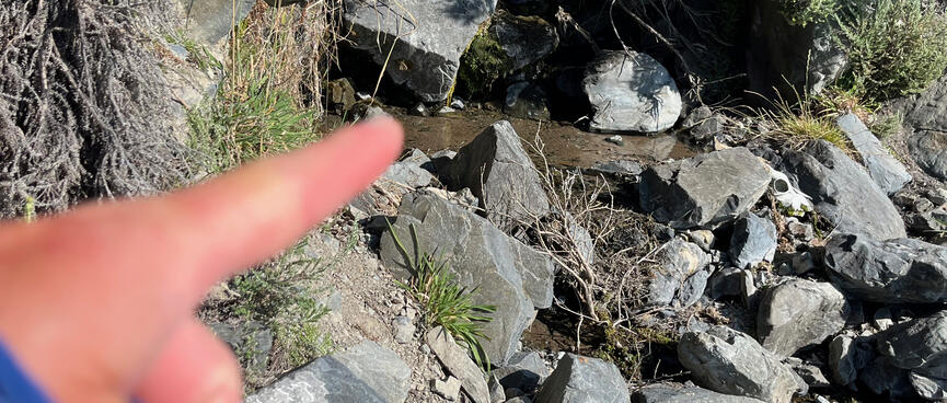 A small stream emerges from the hillside.