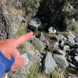 A small stream emerges from the hillside.
