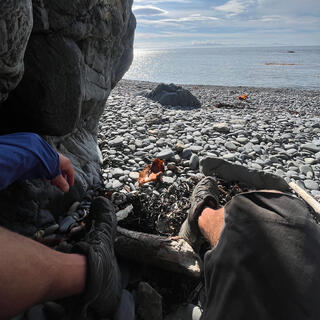 Legs and feet in the partial shadow of another rock.
