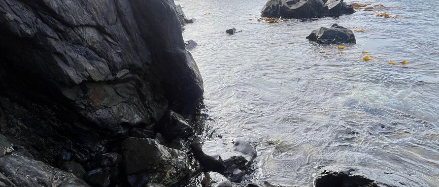 A rock face at the waterʼs edge.