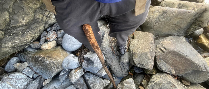 Wet legs and driftwood walking stick.