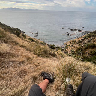 Sitting in the tussock on a hillside.