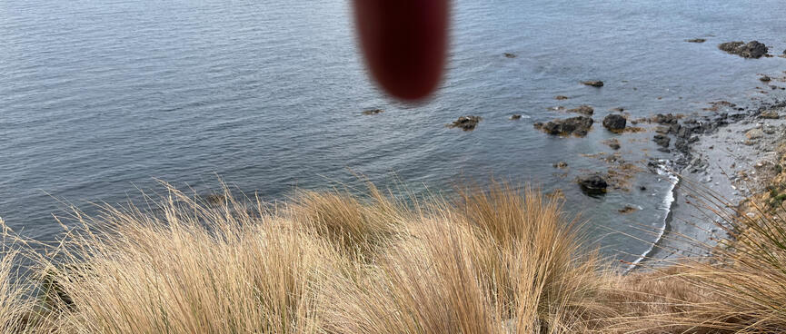 Pointing down the hill towards an obscured point on the coast.