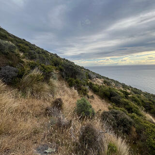 A sloping hillside is covered in brown and green shrubs.