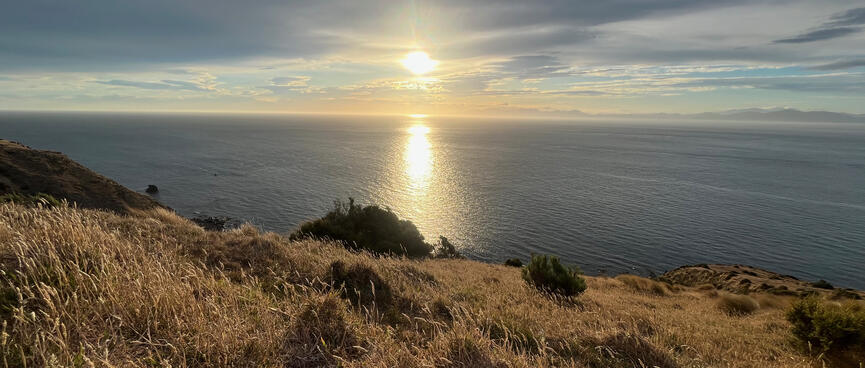 Golden field grass and the sun reflected in the sea.