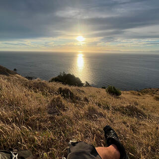 Golden field grass and the sun reflected in the sea.