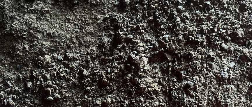 Small clumps of dirt on the cave floor.