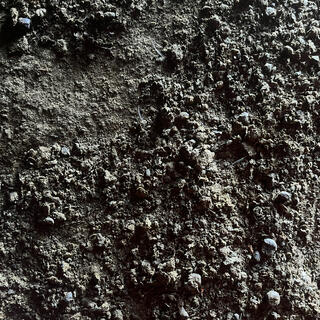 Small clumps of dirt on the cave floor.