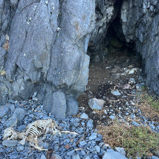An animal skeleton lies next to the cave exit.