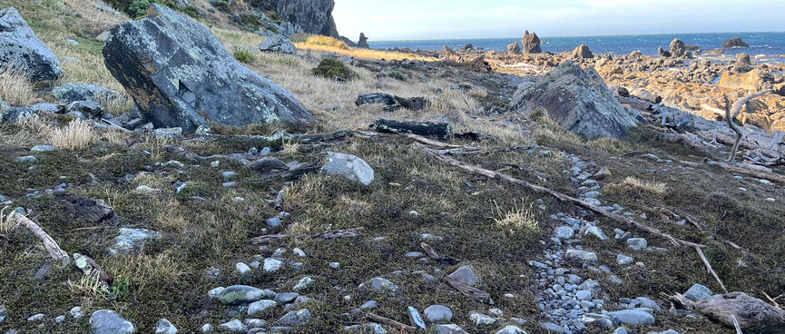 Grass in different shades of green is punctuated by rocks.