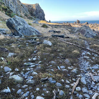 Grass in different shades of green is punctuated by rocks.