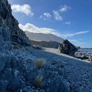 A shadow is cast across a pebbly shore.