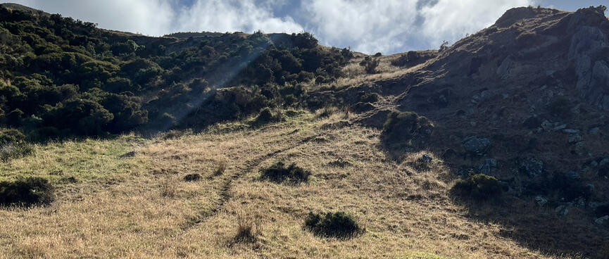A path winds up a grassy bank.