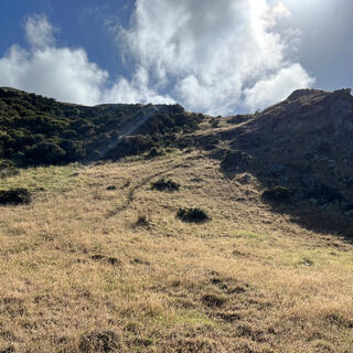 A path winds up a grassy bank.