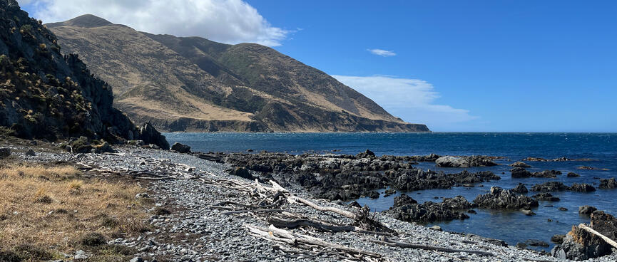 A shingle beach and a headland.