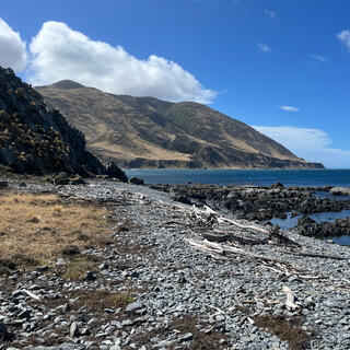 A shingle beach and a headland.