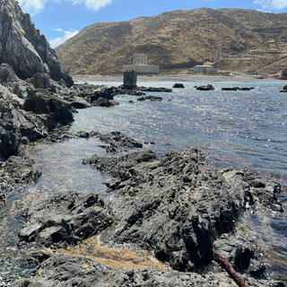 Exposed rocks and rockpools near a rock cliff.