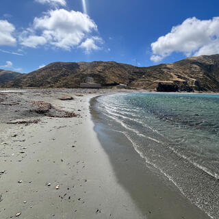 The curving waterline on a sandy coastline.